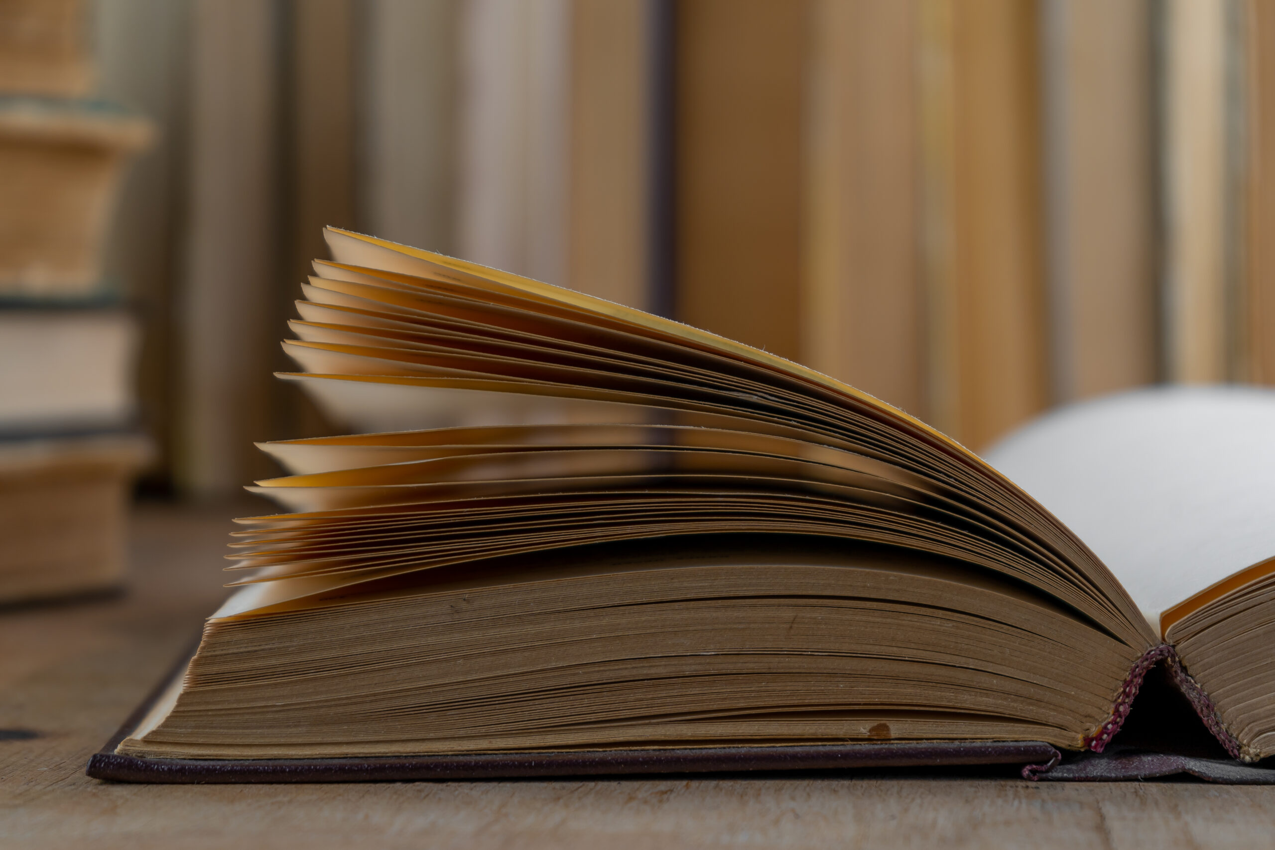 Top 5 books students should read while studying for SPM and why 